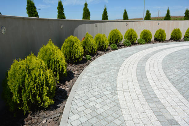 Best Driveway Paving Contractor  in Alexander, AR